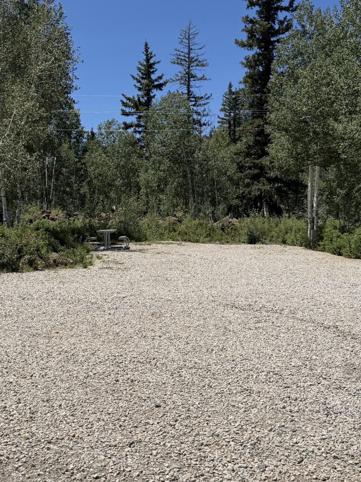 Gravel RV site bordered by forest and picnic table